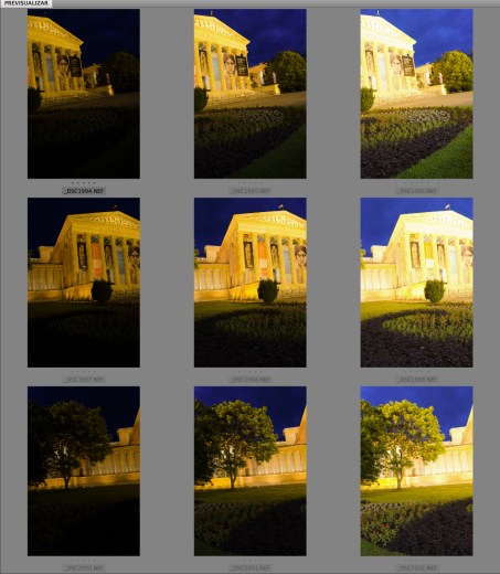 Los negativos digitales